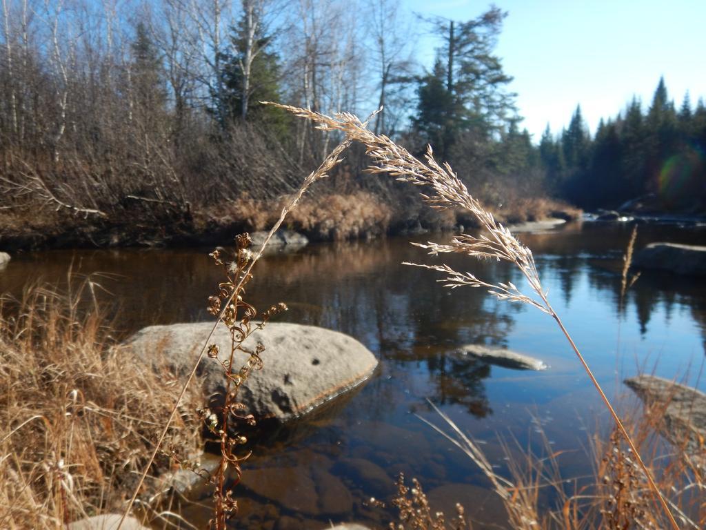 Aux Tipis De La Riviere Sauvage Vila Saint Romain Exterior foto